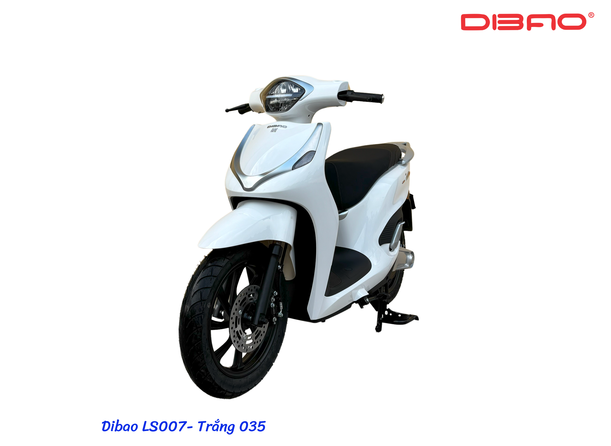 XE MÁY ĐIỆN DIBAO LS007