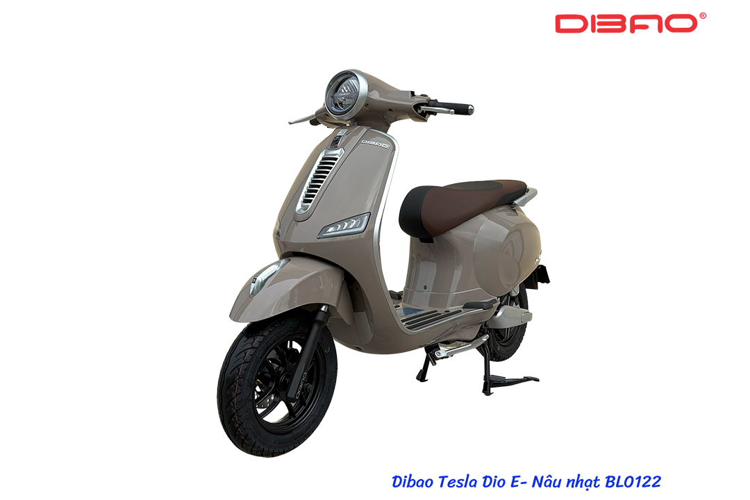 XE MÁY ĐIỆN DIBAO TESLA DIO E