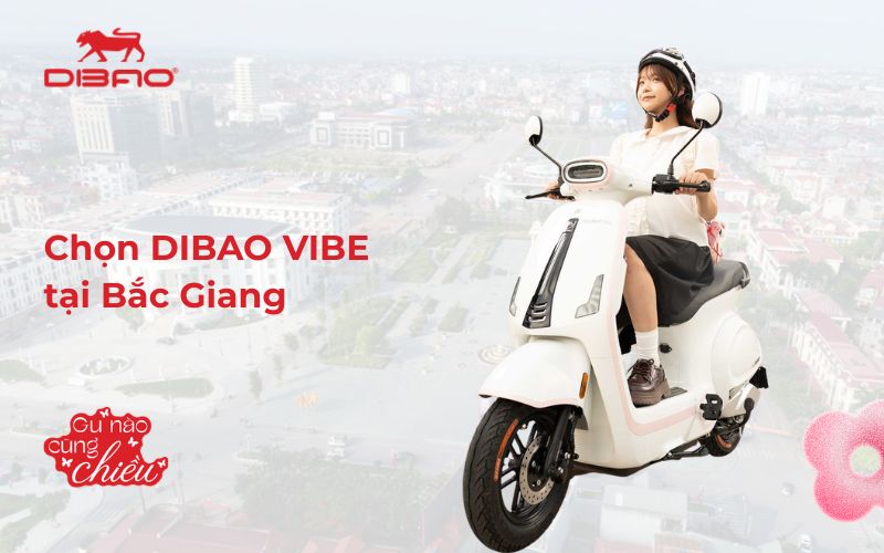 Chọn Dibao Vibe tại Bắc Giang