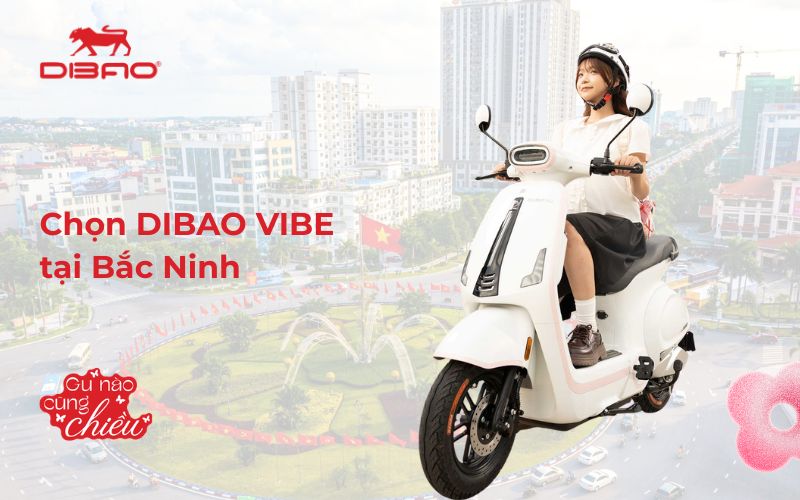 Chọn Dibao Vibe tại Bắc Ninh