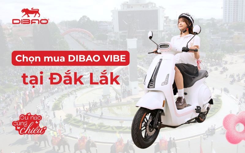 Chọn mua Dibao Vibe tại Đắk Lắk
