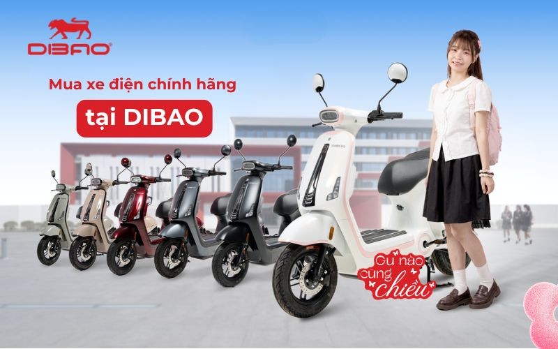 Mua xe điện ch&iacute;nh h&atilde;ng ở Đắk Lắk tại Dibao