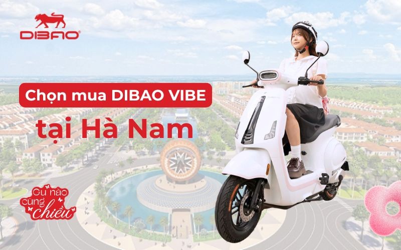 Chọn mua Dibao Vibe tại H&agrave; Nam