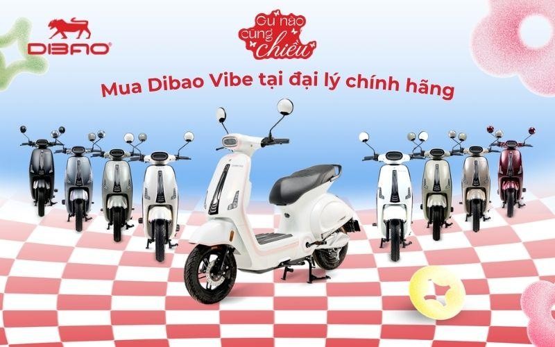 Mua Dibao Vibe tại đại l&yacute; ch&iacute;nh h&atilde;ng