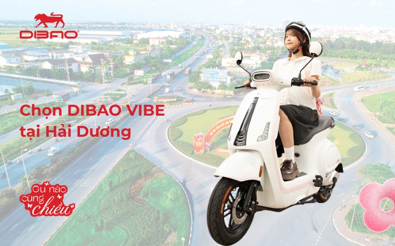 Chọn Dibao Vibe tại Hải Dương