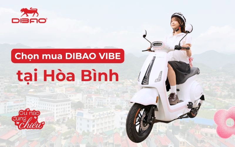 Chọn mua Dibao Vibe tại H&ograve;a B&igrave;nh