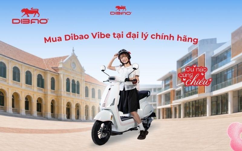 Mua Dibao Vibe tại đại l&yacute; ch&iacute;nh h&atilde;ng