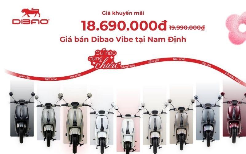 Gi&aacute; b&aacute;n Dibao Vibe tại Nam Định