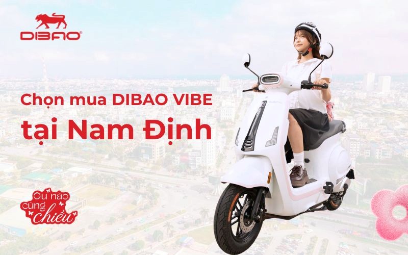 Chọn mua xe Dibao Vibe tại Nam Định