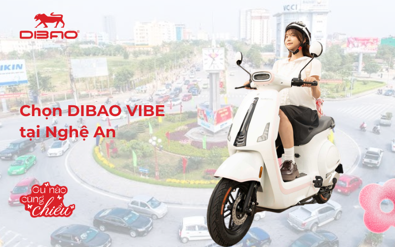 Chọn Dibao Vibe tại Nghệ An