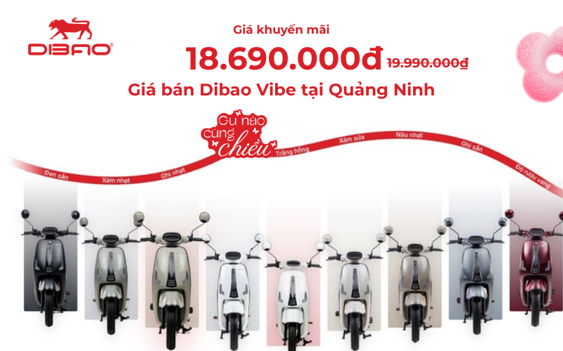 Gi&aacute; b&aacute;n Dibao Vibe tại Quảng Ninh
