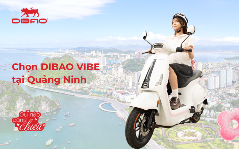 Chọn Dibao Vibe tại Quảng Ninh
