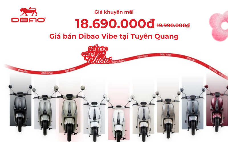 Gi&aacute; b&aacute;n Dibao Vibe tại Tuy&ecirc;n Quang