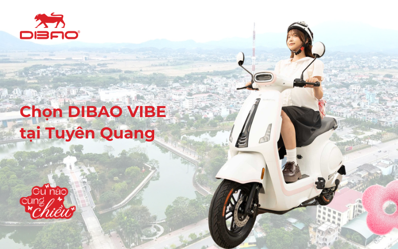 Chọn Dibao Vibe tại Tuy&ecirc;n Quang