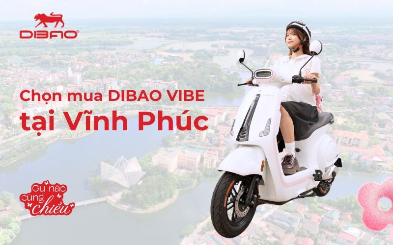 Chọn mua Dibao Vibe tại Vĩnh Ph&uacute;c