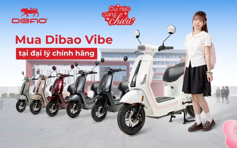 Mua Dibao Vibe tại đại l&yacute; ch&iacute;nh h&atilde;ng