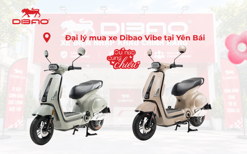 Đại l&yacute; mua xe Dibao Vibe tại Y&ecirc;n B&aacute;i