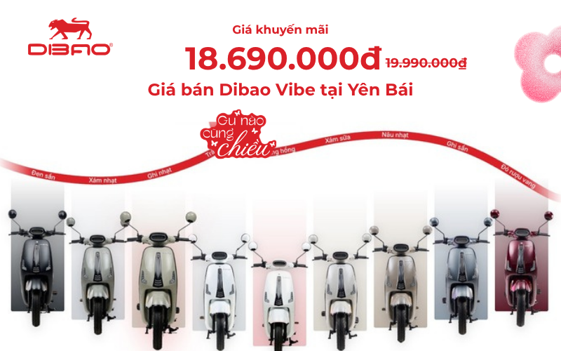 Gi&aacute; b&aacute;n Dibao Vibe tại Y&ecirc;n B&aacute;i