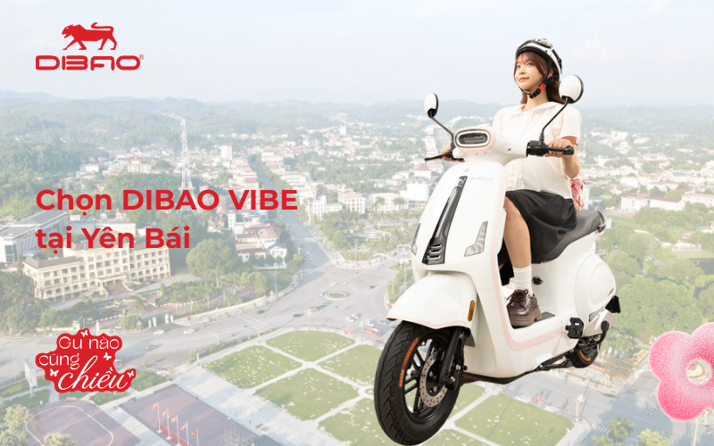 Chọn Dibao Vibe tại Y&ecirc;n B&aacute;i