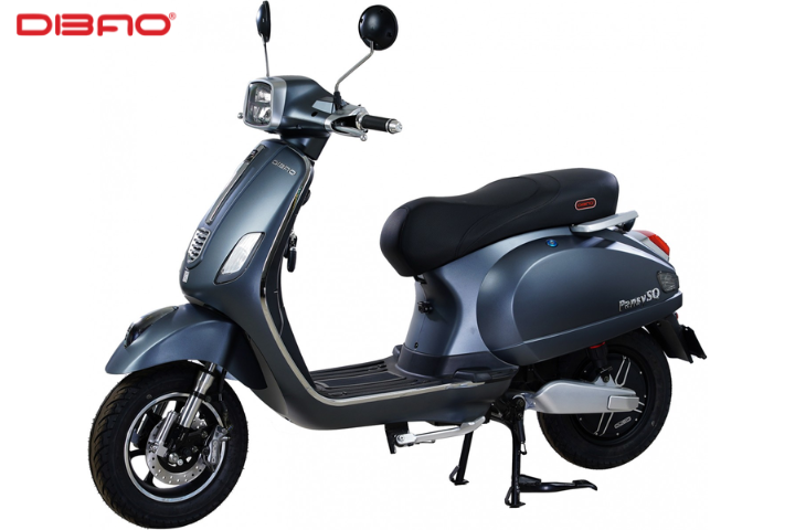 Xe m&aacute;y điện Dibao Pansy 