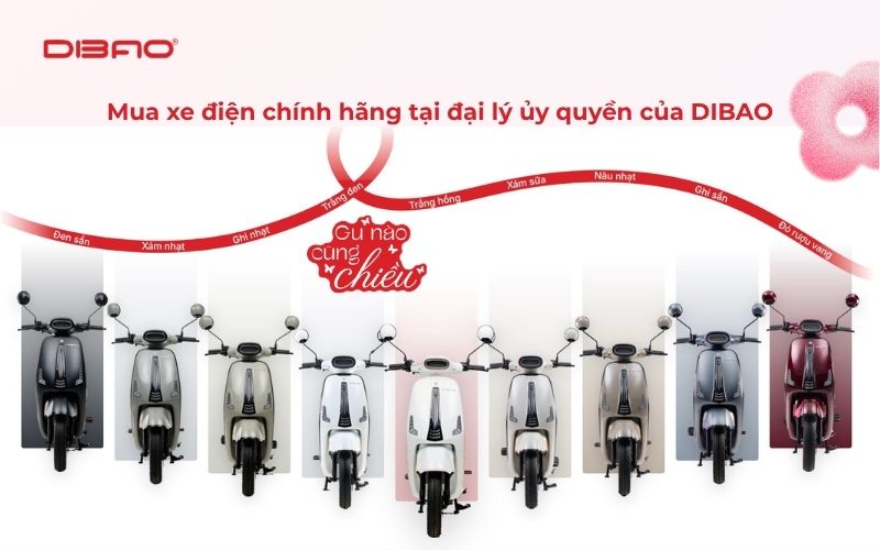 cốp xe dibao vibe c&oacute; rộng kh&ocirc;ng mua ở đ&acirc;u