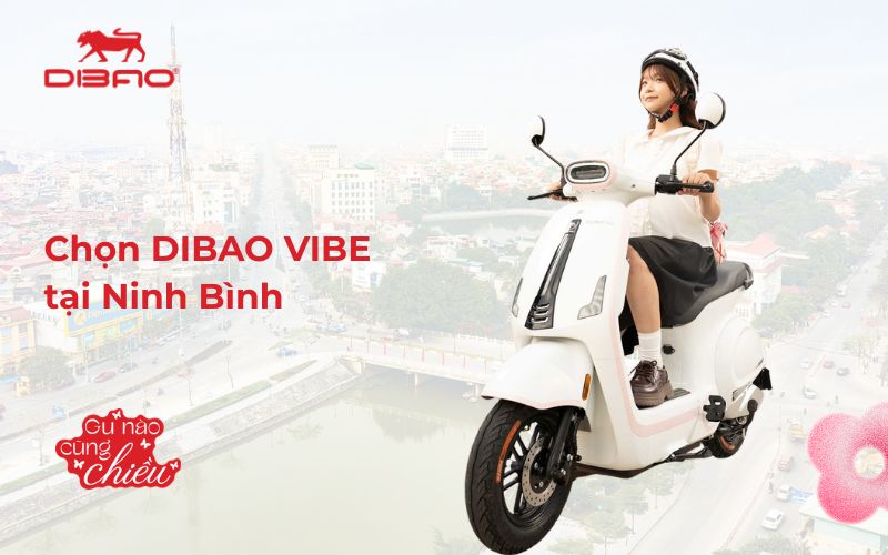 Đại l&yacute; xe điện Dibao Vibe Ninh B&igrave;nh