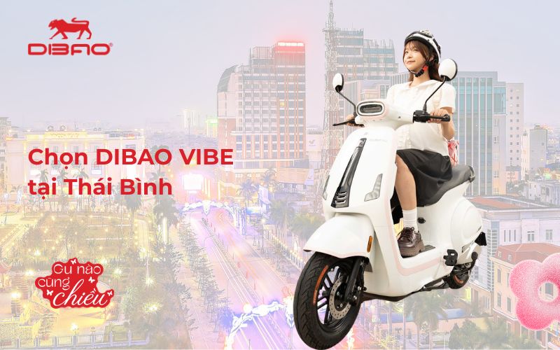 Đại l&yacute; xe điện Dibao Vibe Th&aacute;i B&igrave;nh