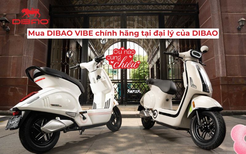 Đại l&yacute; xe điện Dibao Vibe Thanh Ho&aacute;