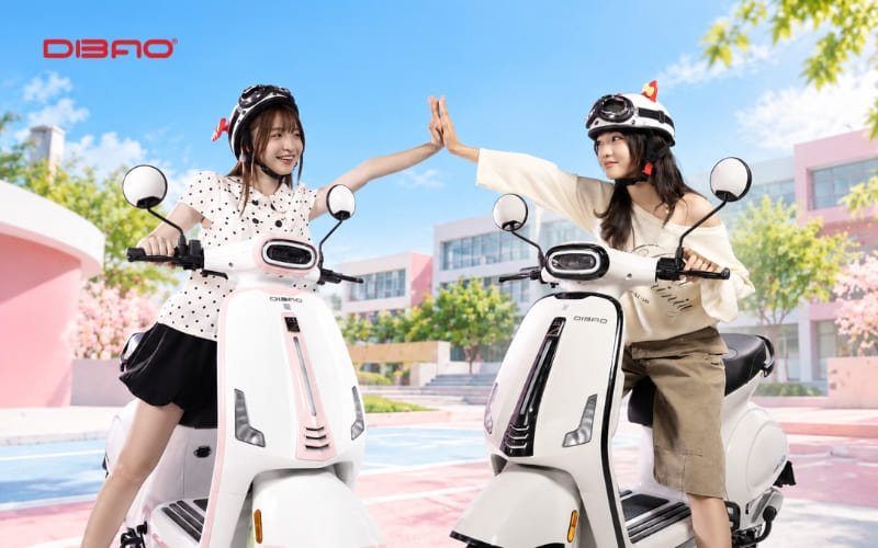 đại l&yacute; Dibao Vibe M3600 TP. Hồ Ch&iacute; Minh