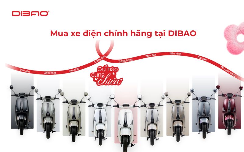 Dibao Vibe c&oacute; cần bằng l&aacute;i kh&ocirc;ng