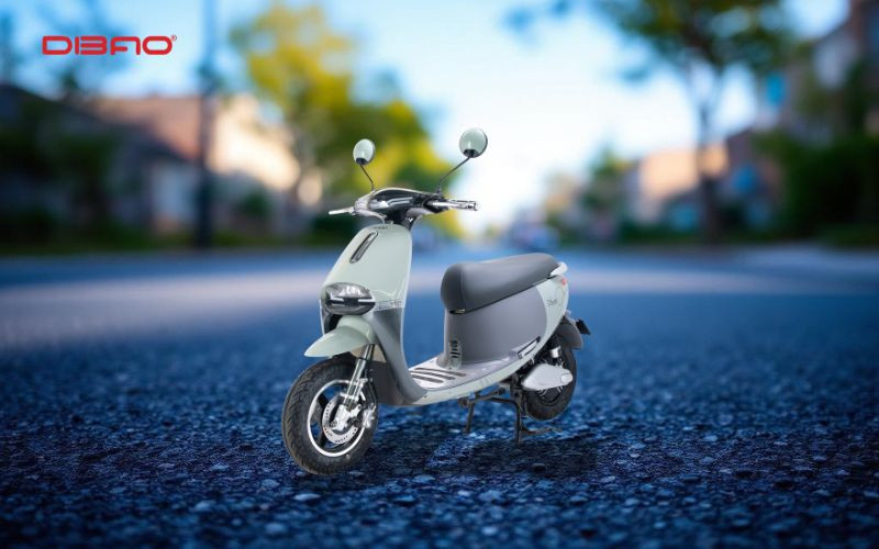 xe m&aacute;y điện dibao gogo cross g