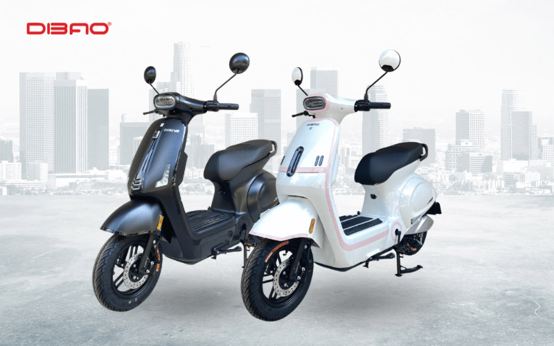 gi&aacute; xe đạp điện học sinh