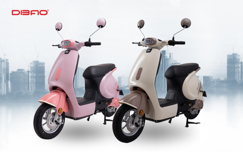gi&aacute; xe đạp điện học sinh