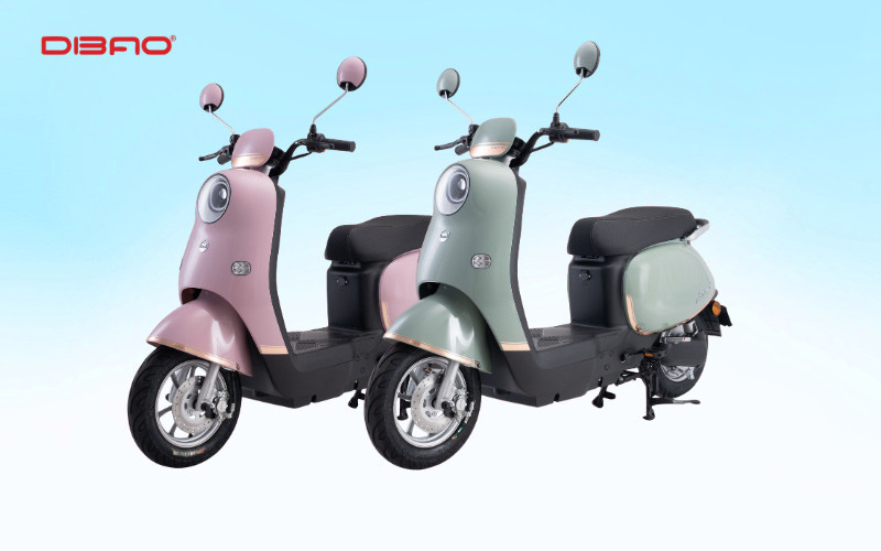 Xe m&aacute;y điện Dibao Rosa