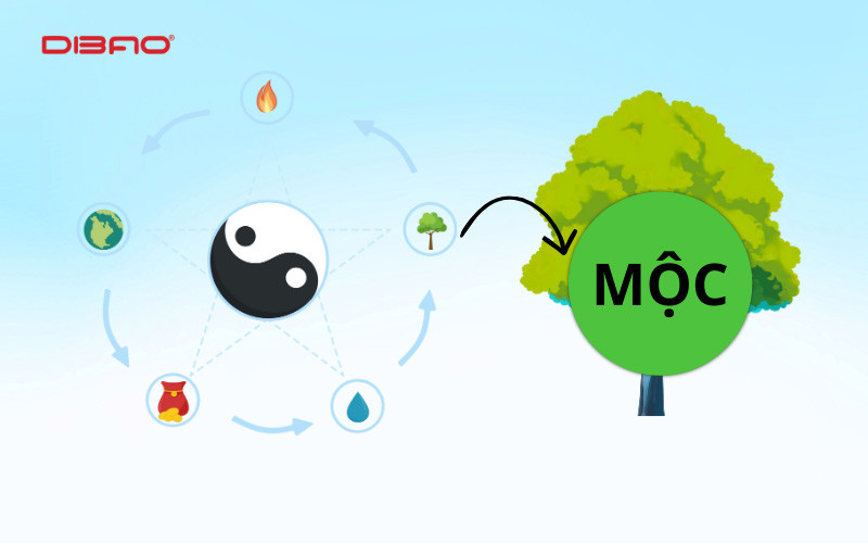 mệnh mộc n&ecirc;n đi xe m&agrave;u g&igrave;