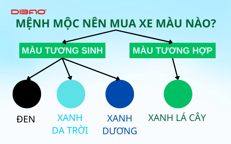 mệnh mộc n&ecirc;n đi xe m&agrave;u g&igrave;