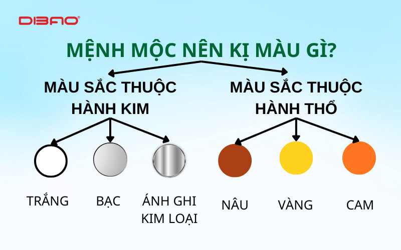mệnh mộc mua xe m&agrave;u g&igrave; th&igrave; hợp