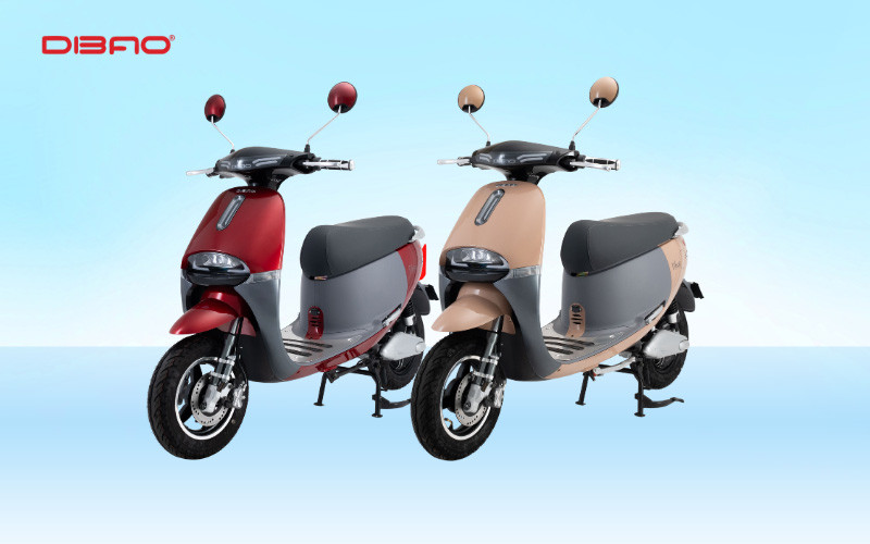Xe m&aacute;y điện Dibao Gogo Cross