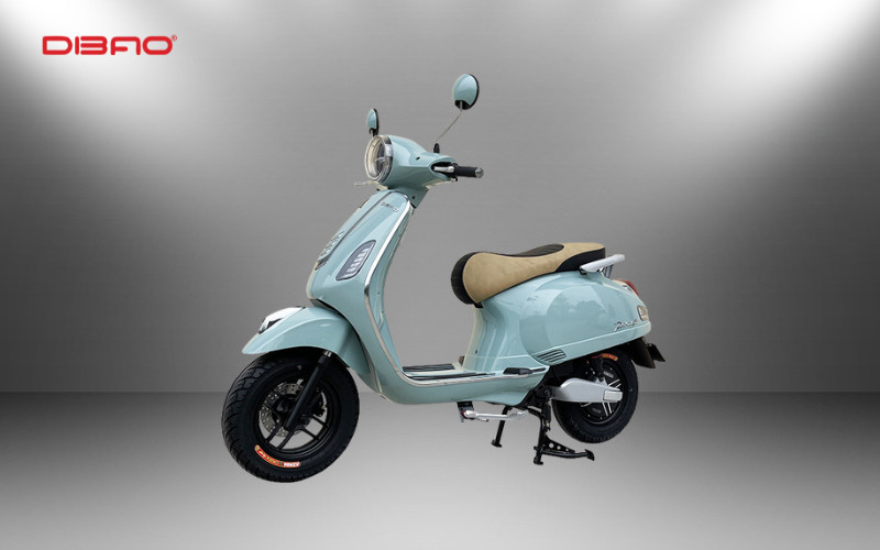 Xe m&aacute;y điện Dibao Pansy S3