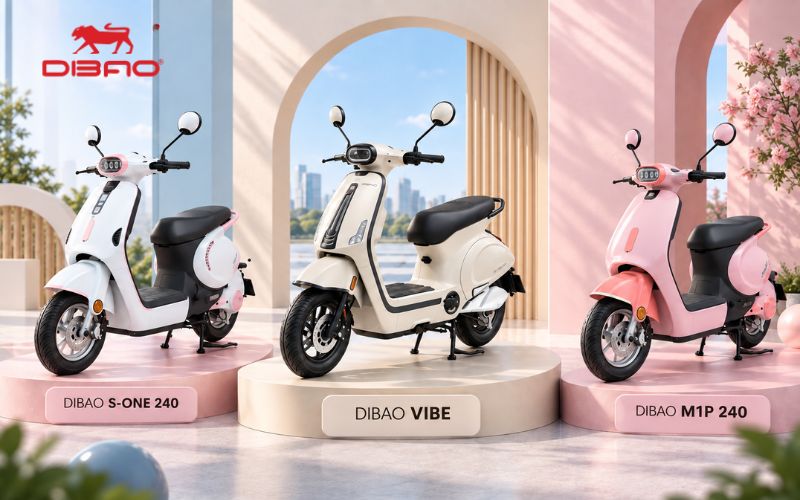 so s&aacute;nh Dibao Vibe v&agrave; Dibao S-One 240