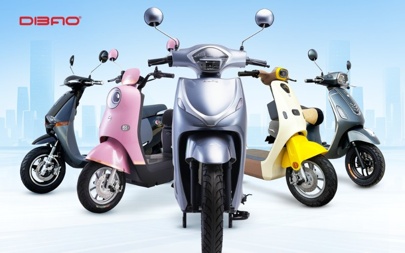 Dibao sẽ lu&ocirc;n hướng dẫn cho kh&aacute;ch h&agrave;ng c&aacute;c thủ tục đăng k&yacute; xe m&aacute;y điện chi tiết