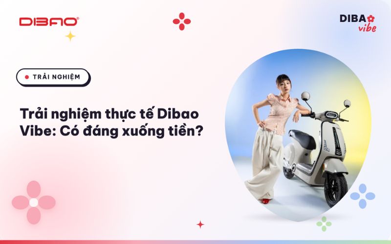 trải nghiệm thực tế Dibao Vibe