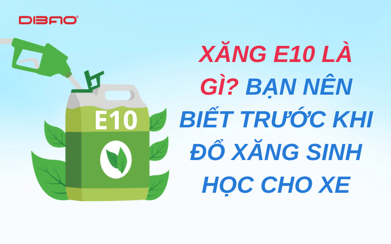 xăng e10 là gì