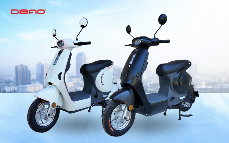 gi&aacute; xe đạp điện c&oacute; b&agrave;n đạp