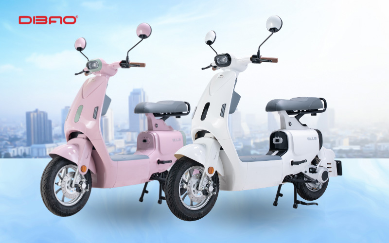 xe đạp điện c&oacute; b&agrave;n đạp gi&aacute; bao nhi&ecirc;u