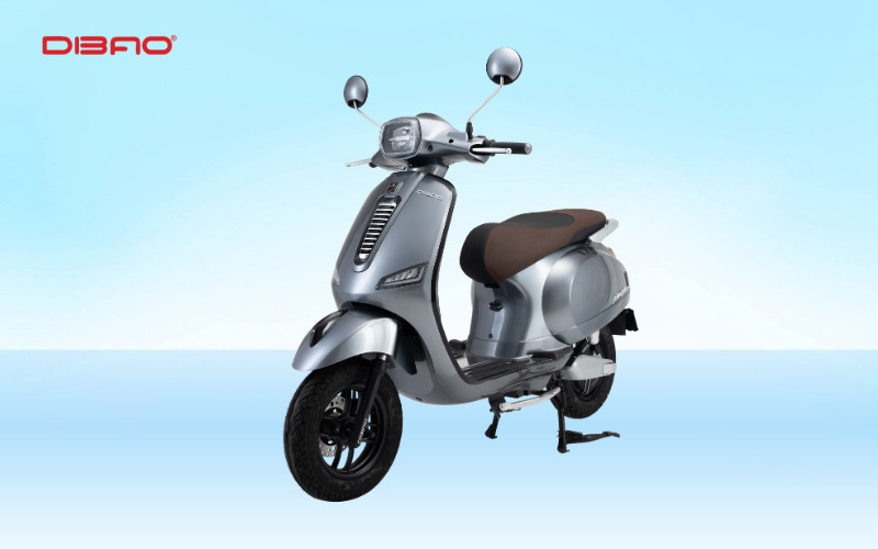 Xe điện m&agrave;u ghi Dibao Pansy Dio + 2025