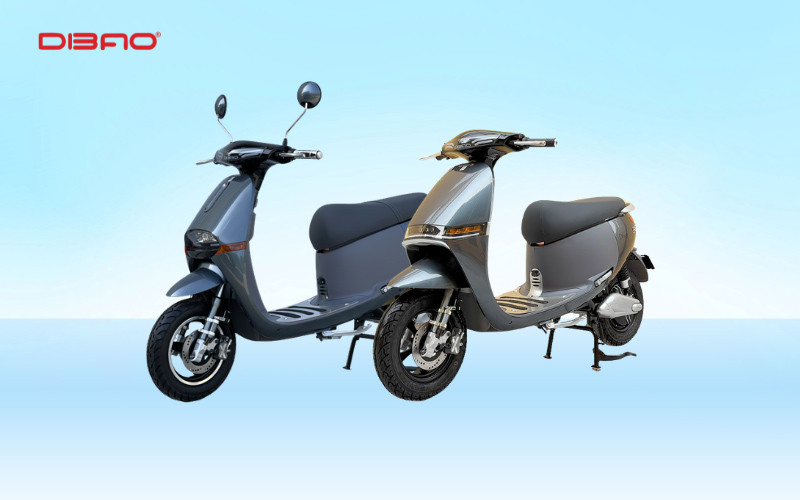 C&aacute;c d&ograve;ng xe điện m&agrave;u ghi Dibao Gogo