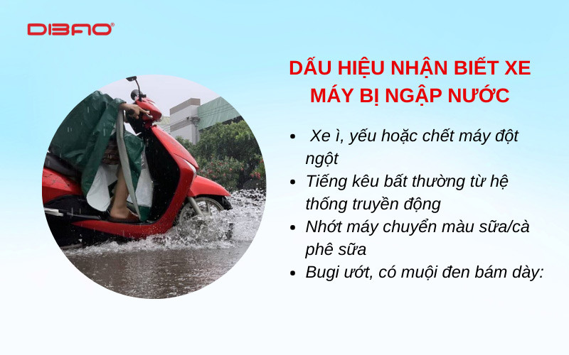xe m&aacute;y bị ngập nước