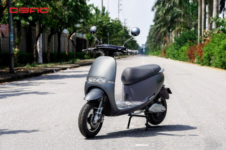 Xe m&aacute;y điện DIBAO GOGO S5