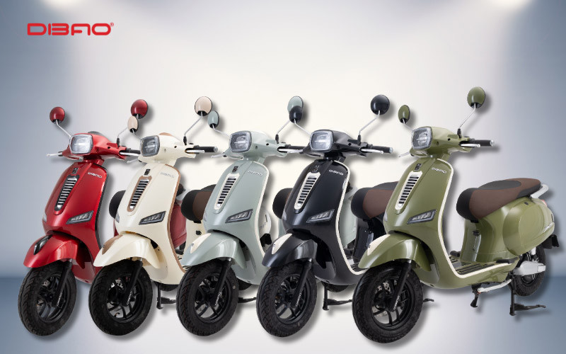 xe m&aacute;y điện dibao pansy dio +
